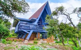 Bay View Bungalow